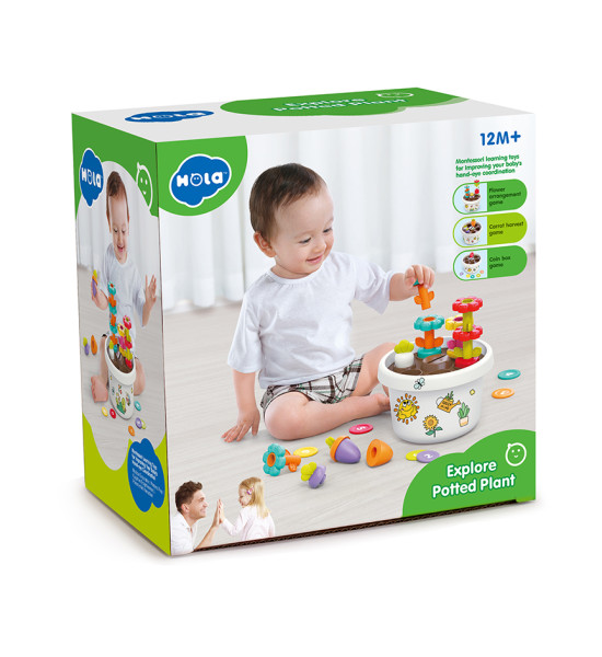 Juego de Planta en Maceta, 5 juegos en 1, Aprendizaje Montessori, Unidad